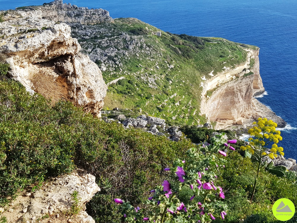Klify Dingli - Malta - Górskie Wyrypy 