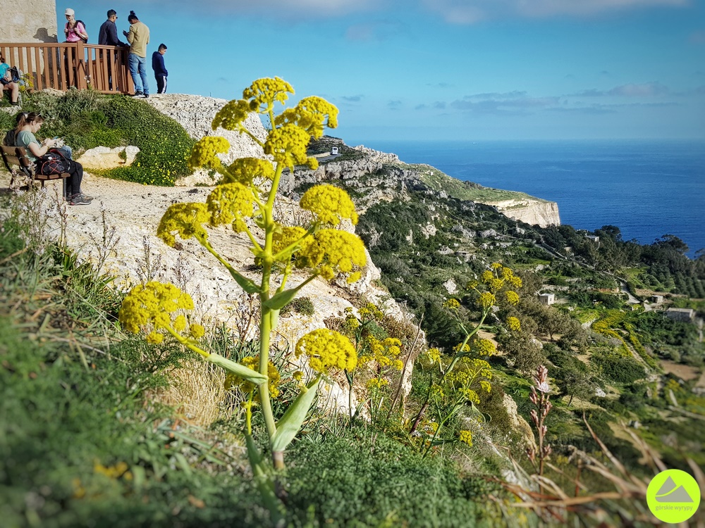 Klify Dingli na Malcie - atrakcje Malta 