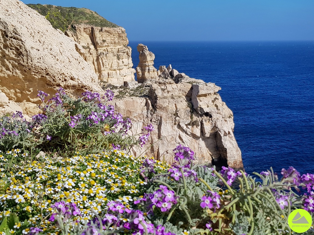 Klify przy jaskini Għar Ħasan