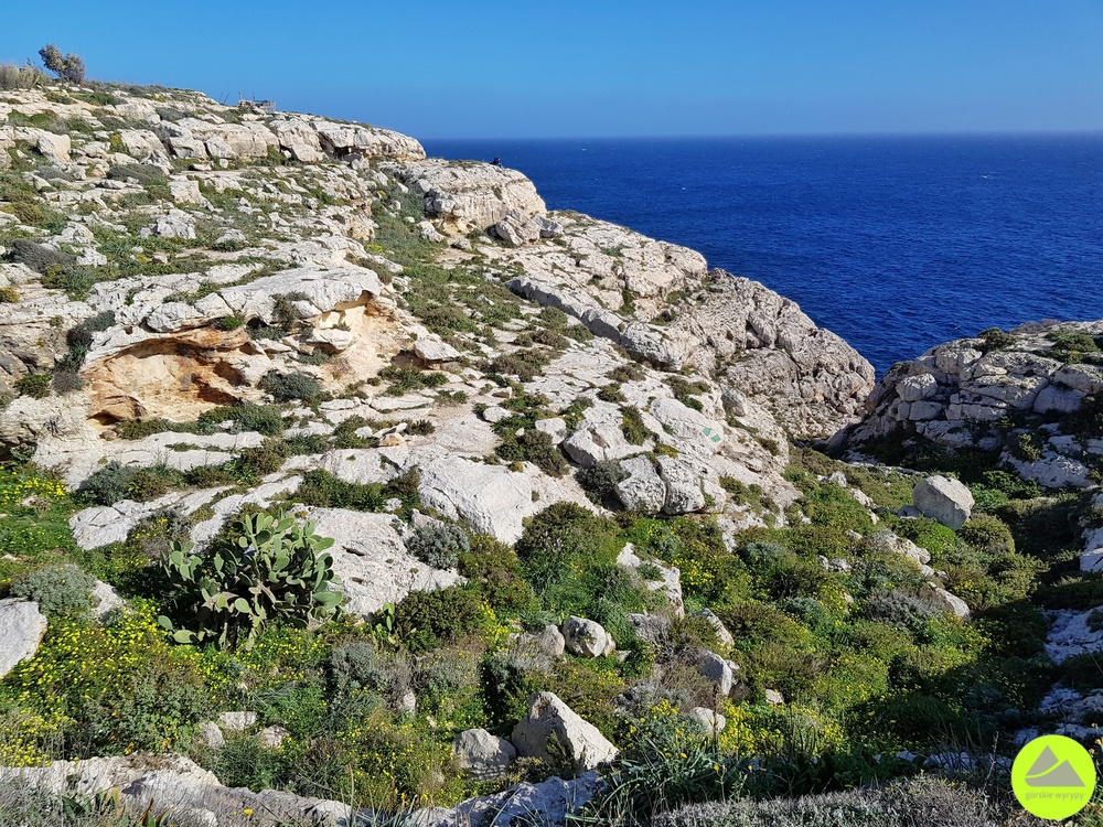 Wędrówka klifami na Malcie