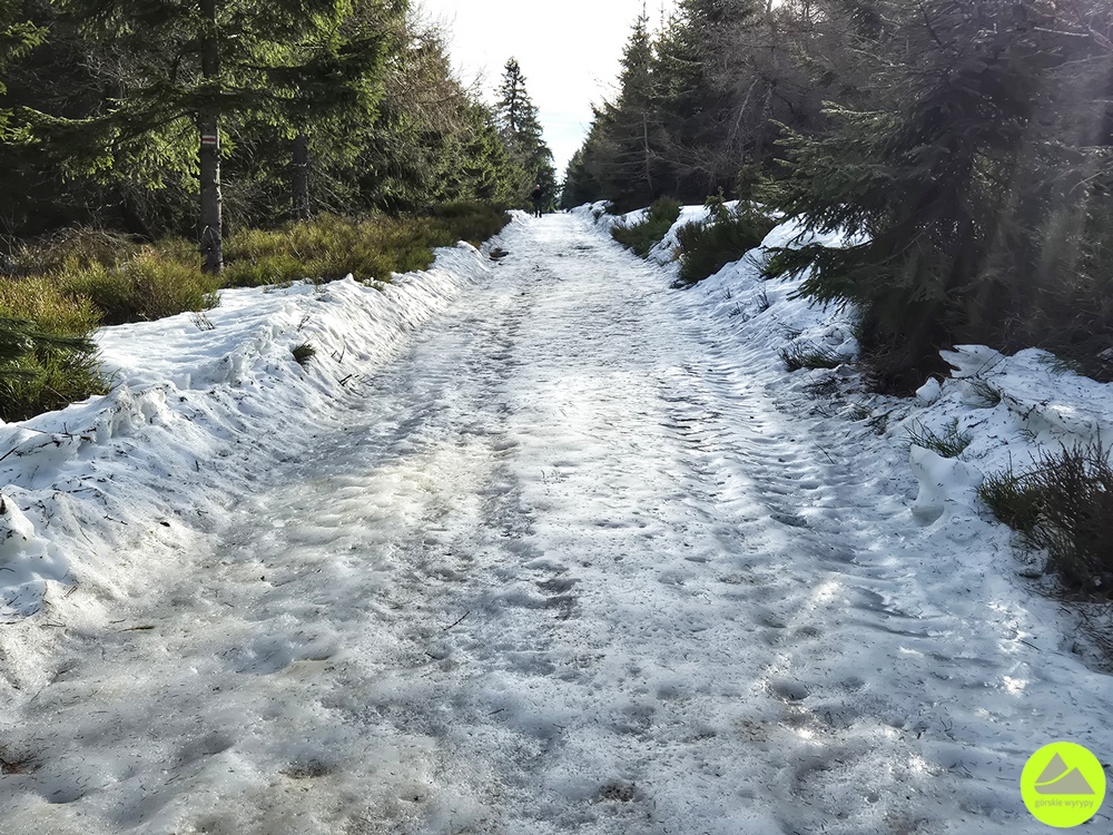 Pieszy rajd górski - Górskie Wyrypy 