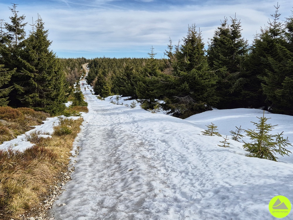 3SZLAKI 2026 - relacja Górskie Wyrypy 