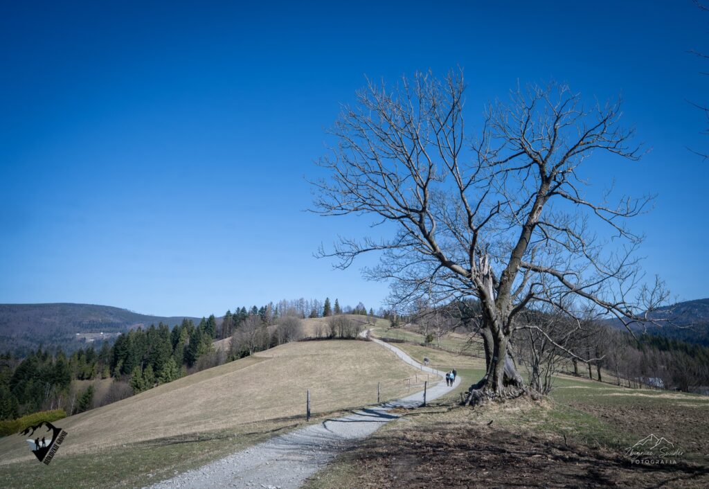 Pieszy Rajd Górski Beskidzkie Grónie
