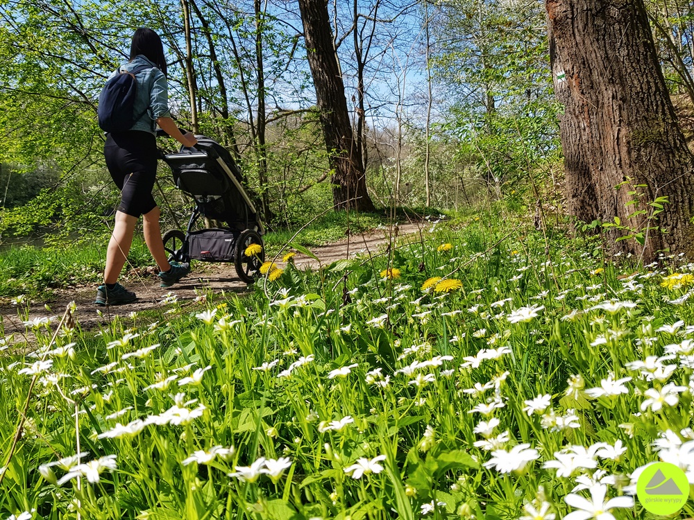 Szlak w Dolinie Bobru - Park Krajobrazowy Doliny Bobru 