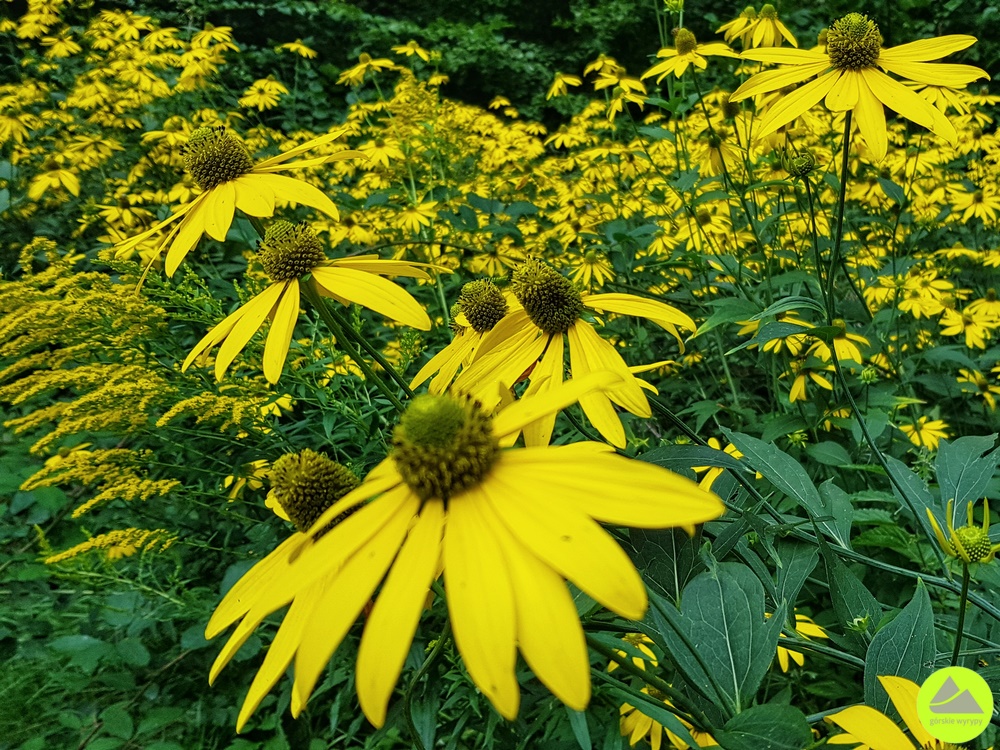 Park Krajobrazowy Doliny Bobru 