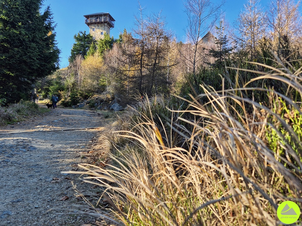 Wysoki Kamień Góry Izerskie 