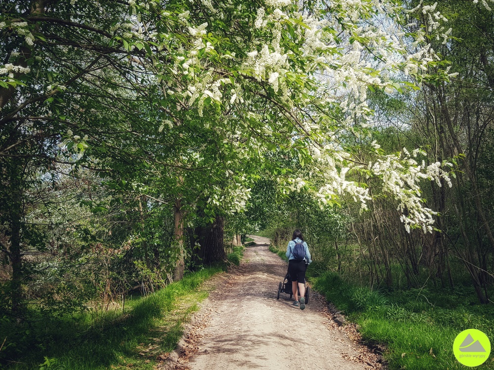 Wędrówka w Dolinie Bobru