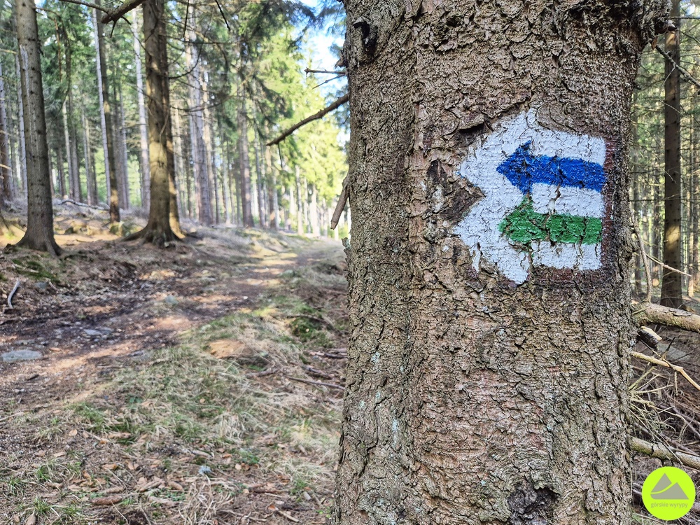 Szlaki w Rudawach Janowickich - Skalnik