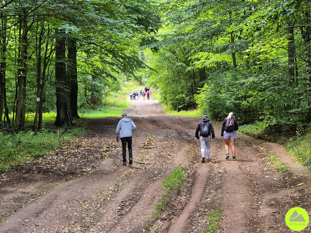 Szlak na wieżę widokową na Dzikowcu - Góry Kamienne 