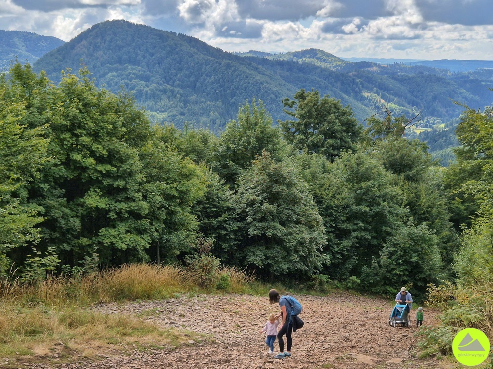 Trasa na wieżę widokową na Dzikowcu 