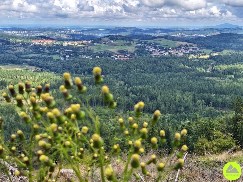 Szlak w Górach Kamiennych - Górskie Wyrypy 