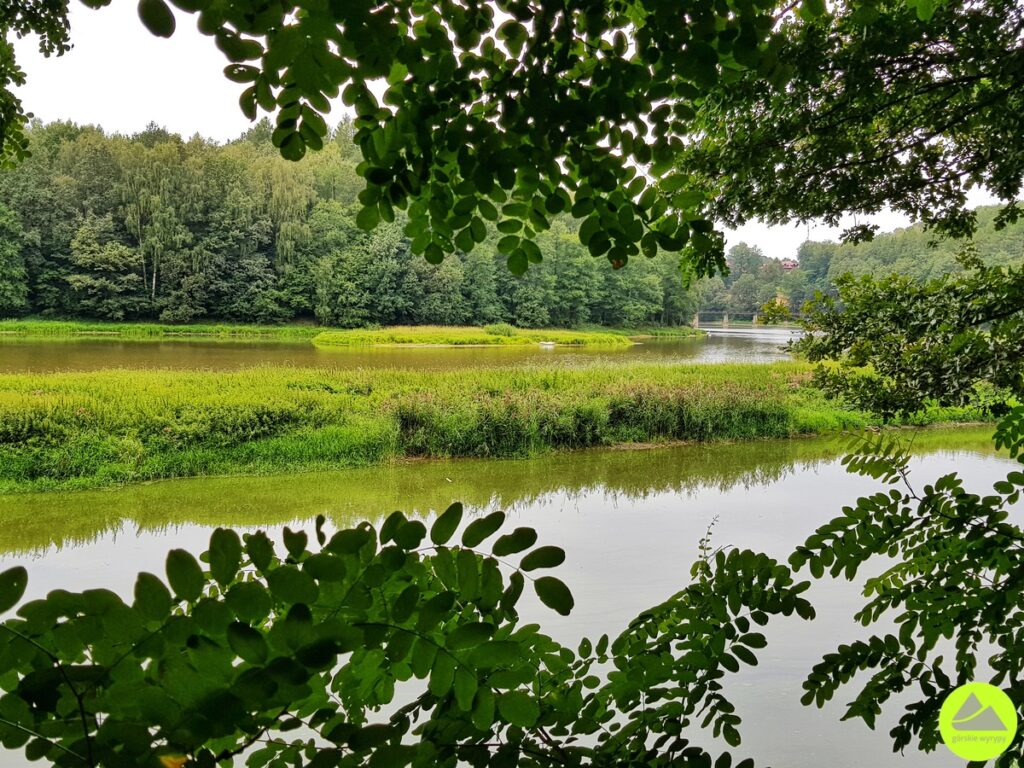 Szlaki Gryfów Śląski - Pogórze Izerskie 