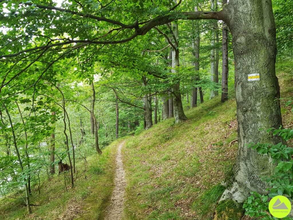Wędrówka dookoła Jeziora Złotnickiego i Jeziora Leśniańskiego 