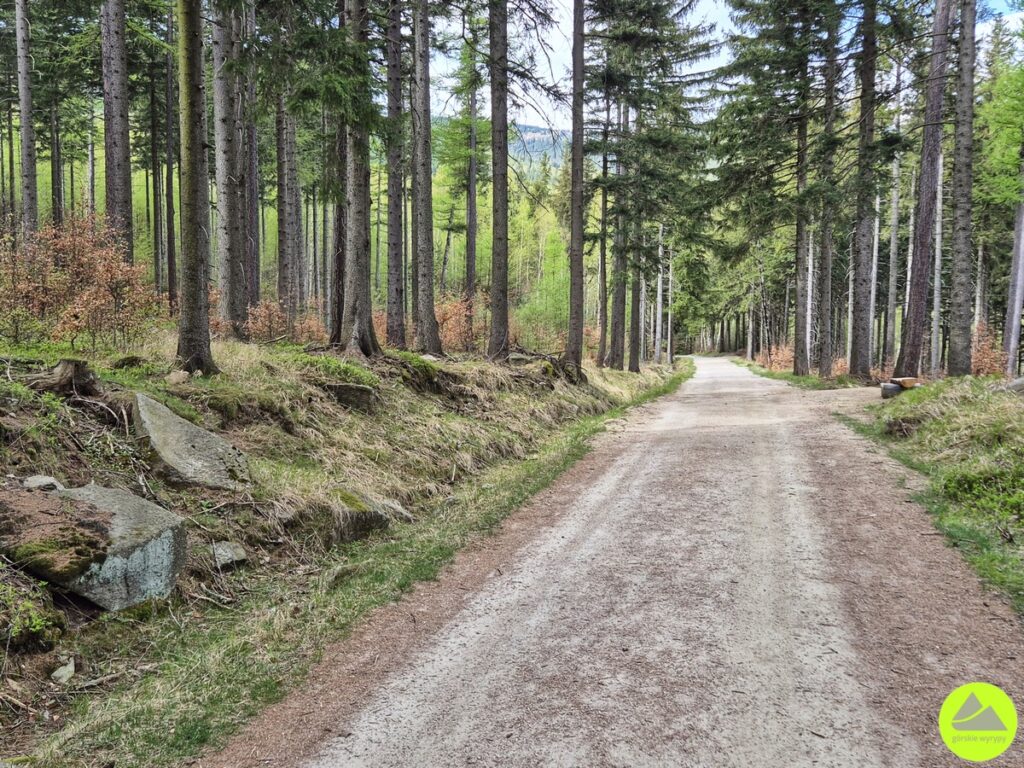 Szlak Schronisko Nad Łomniczką 