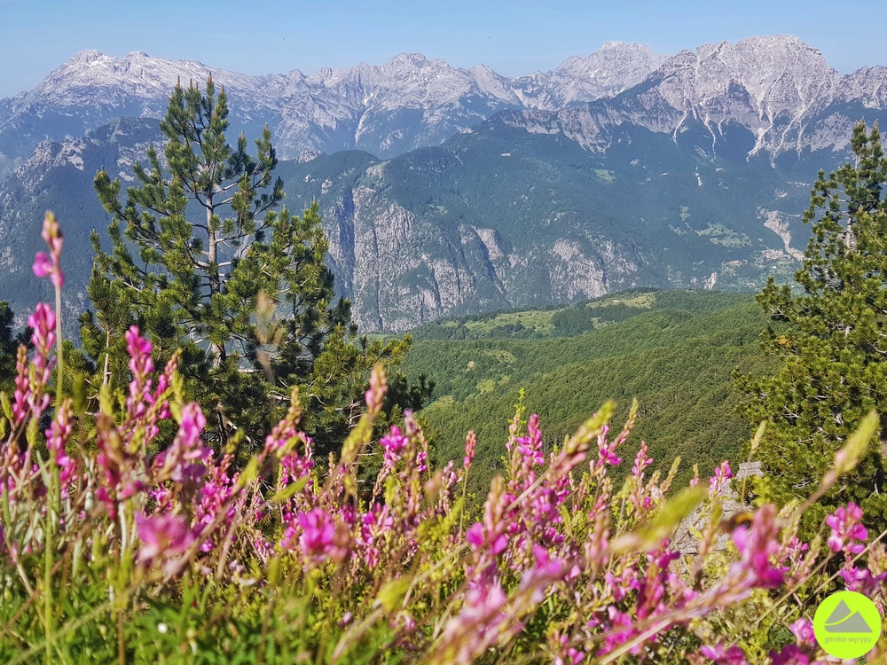 Góry Północnoalbańskie - Alpy Albańskie - szlaki i atrakcje - Przełęcz Valbona