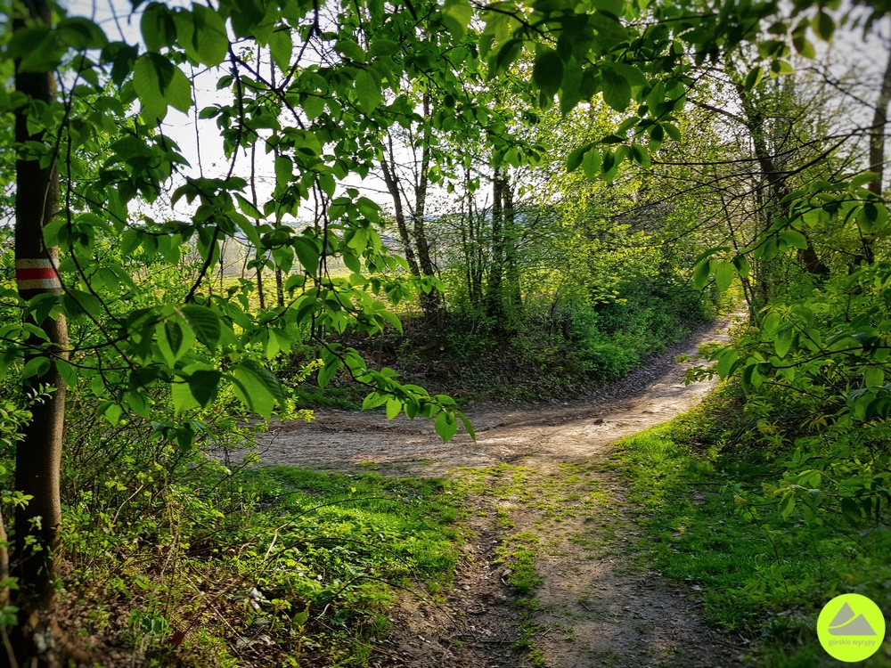 Korona Gór Świętokrzyskich