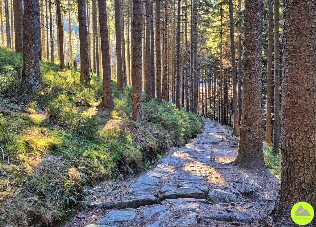 Szlaki i atrakcje w czeskich Karkonoszach