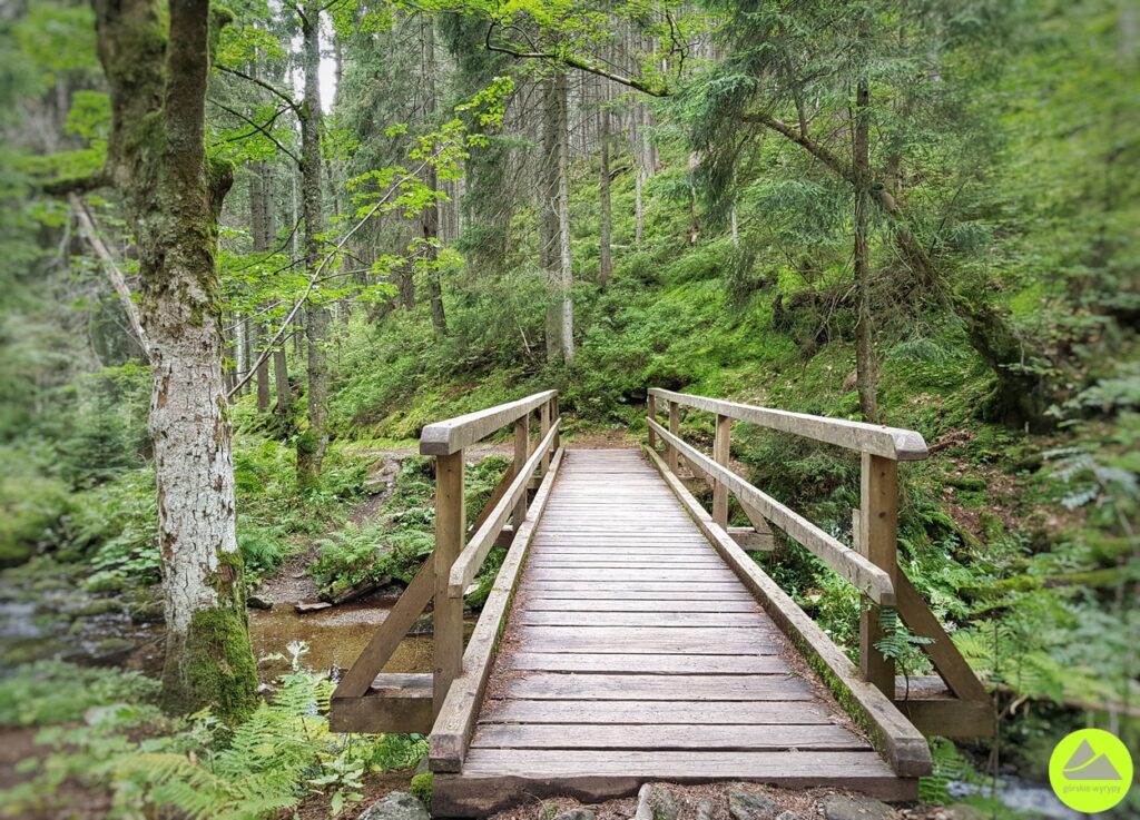 Zelený Důl - Karkonosze - Pec pod Śnieżką