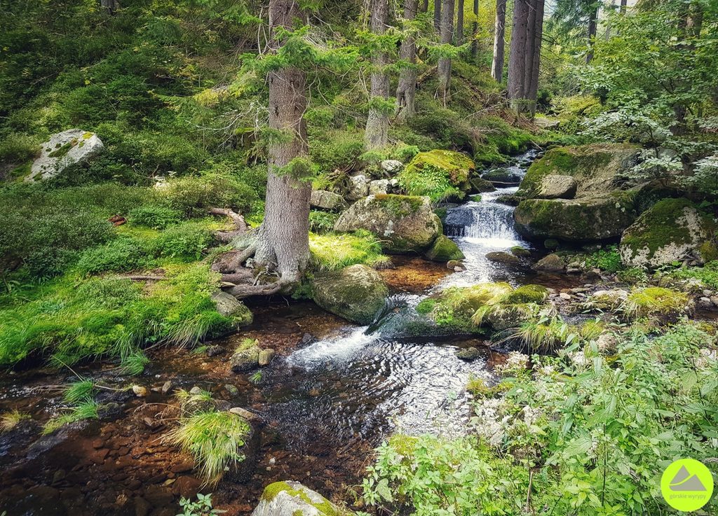 Zelený Důl - Karkonosze - Pec pod Śnieżką